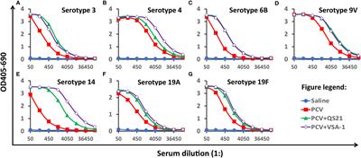 Potentiating pneumococcal glycoconjugate vaccine PCV13 with saponin adjuvant VSA-1